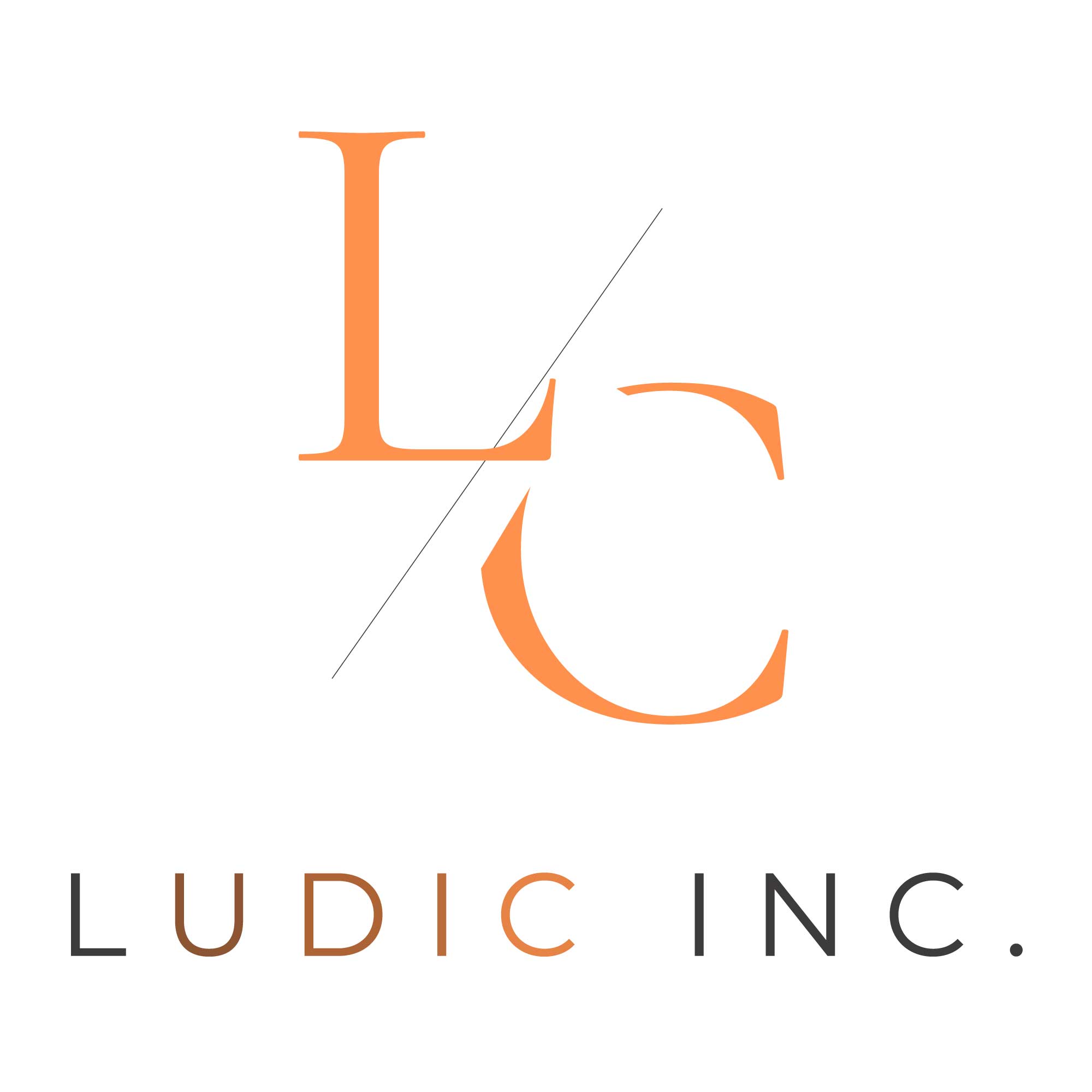 株式会社Ludic
